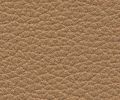 Paloma Tan Stressless Leather Color